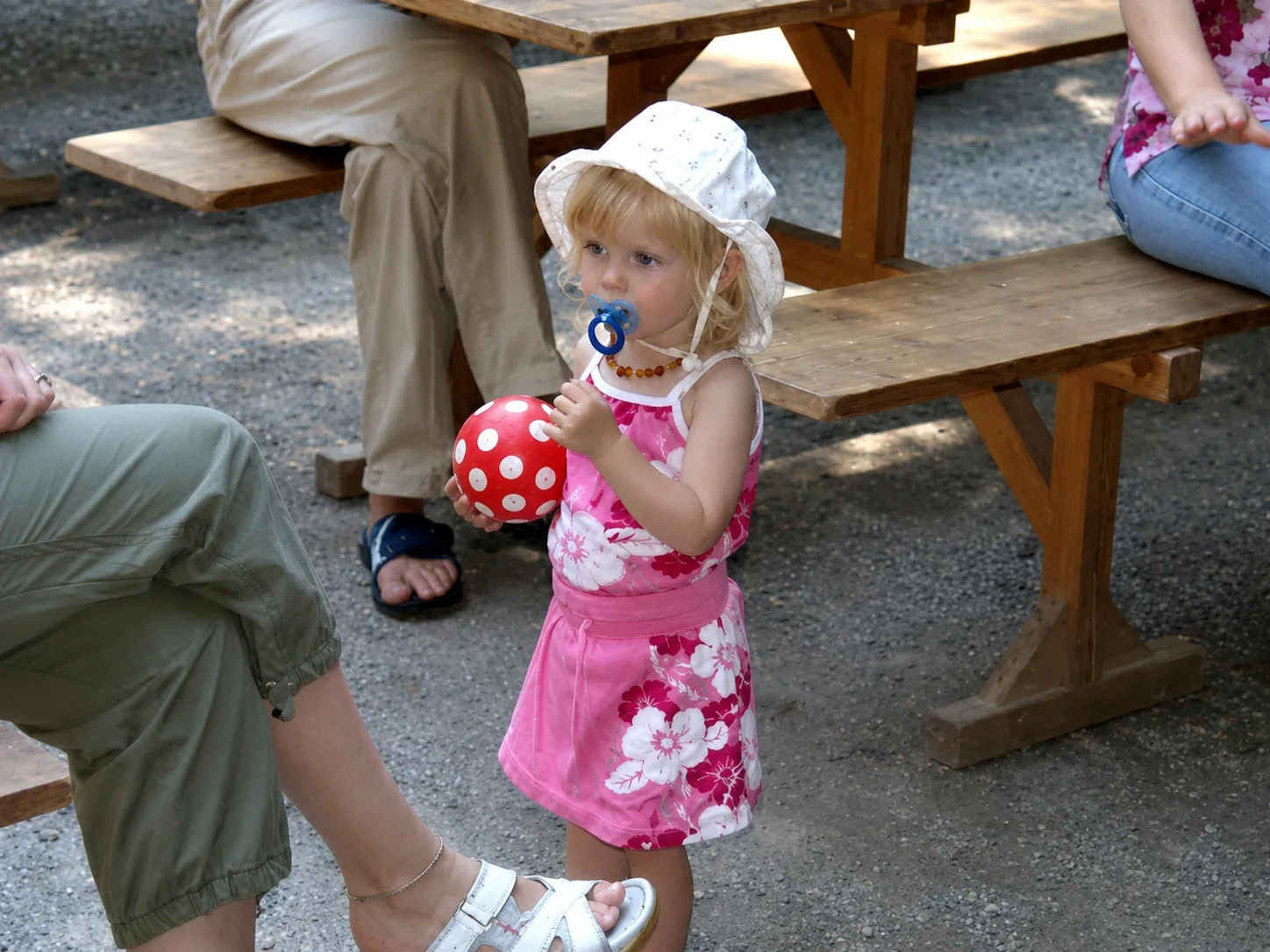 Britisch Kurzhaar Schweiz – Grillfest 2005