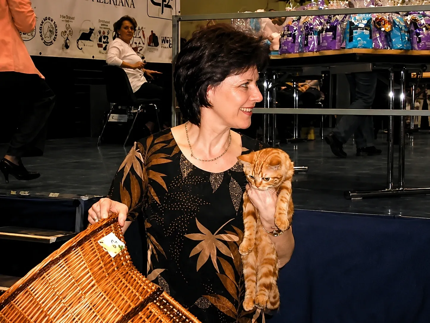 Britisch Kurzhaar Schweiz – Sondershow 2005