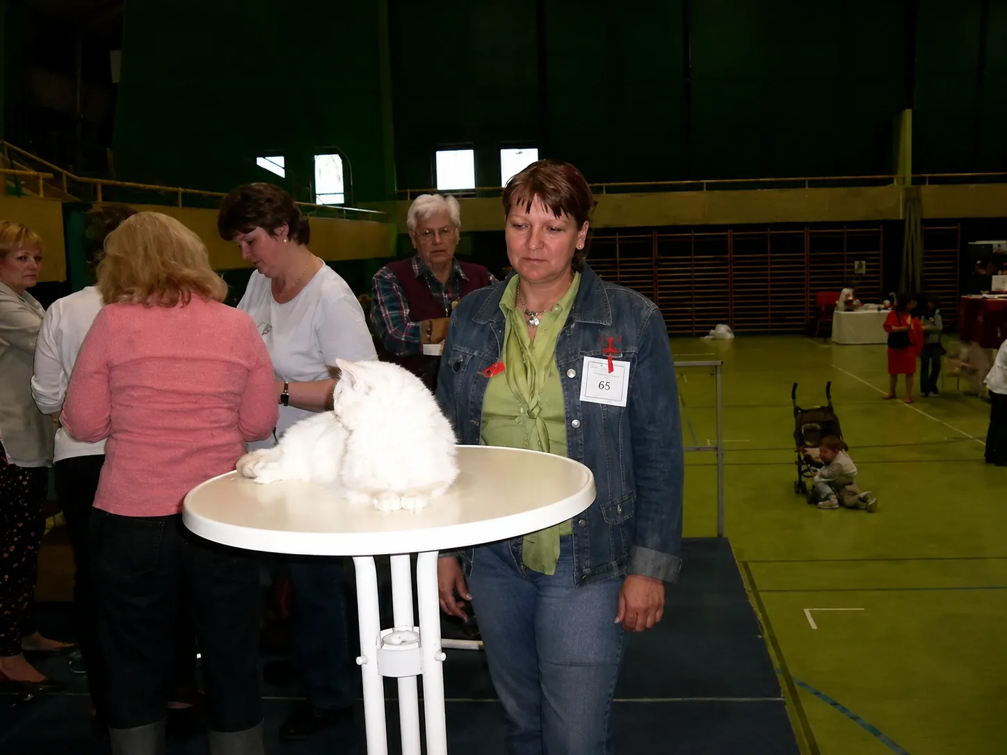 Britisch Kurzhaar Schweiz – Sondershow 2005