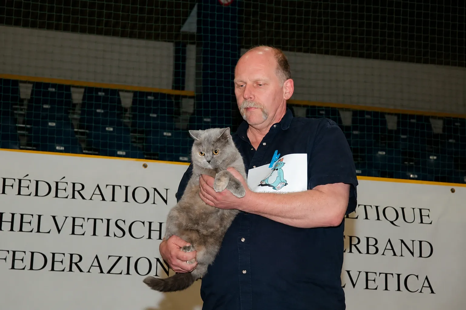Britisch Kurzhaar Schweiz – Sondershow 2005