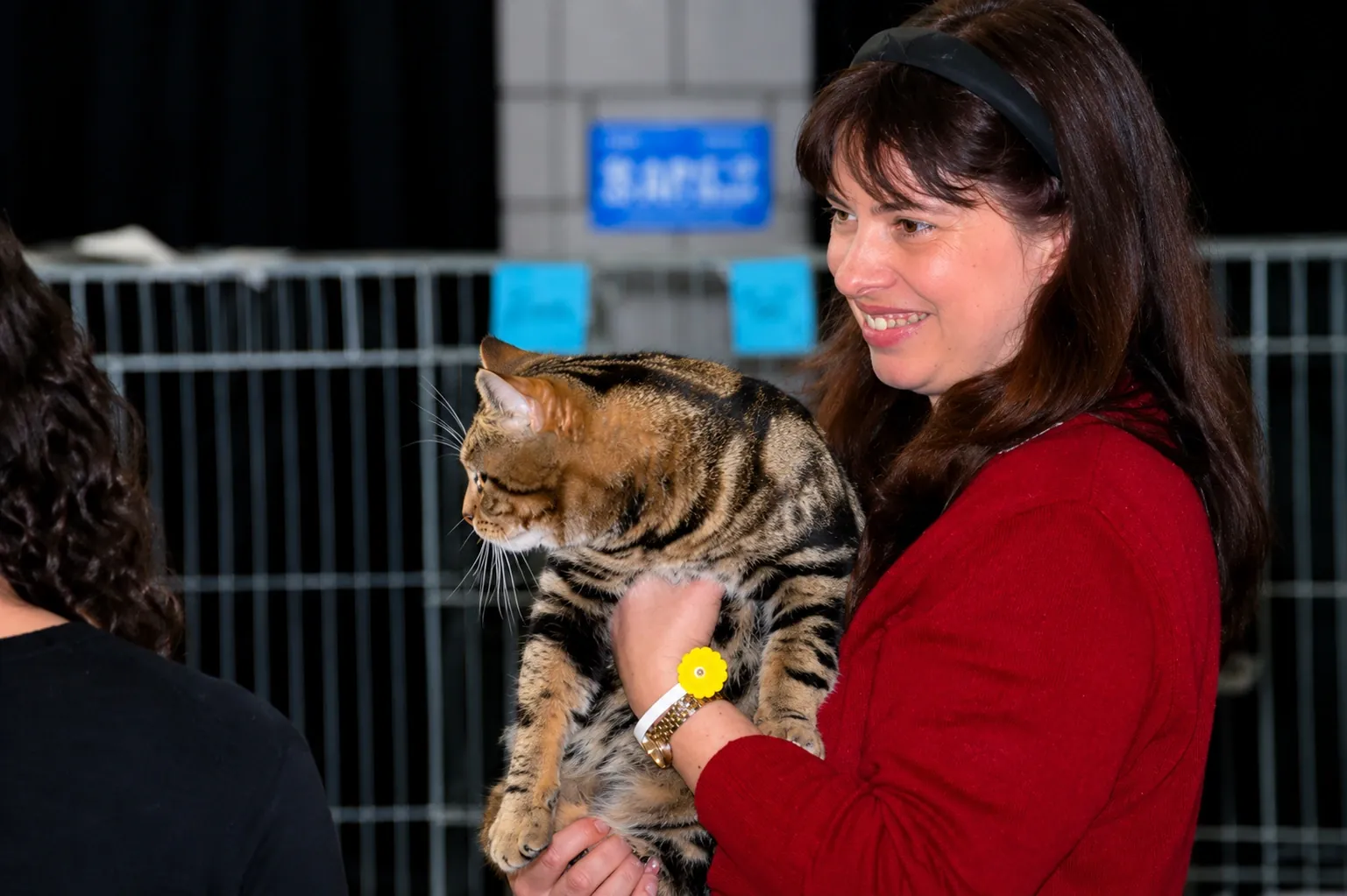 Britisch Kurzhaar Schweiz – Sondershow 2007
