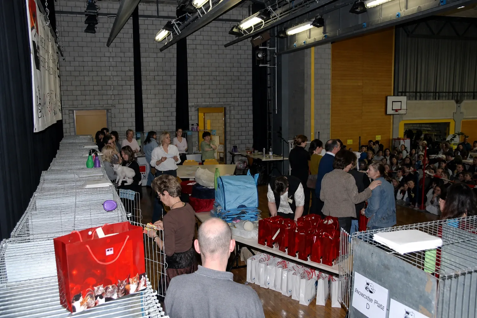 Britisch Kurzhaar Schweiz – Sondershow 2007