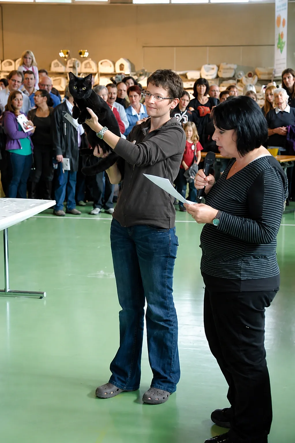 Britisch Kurzhaar Schweiz – Sondershow 2010