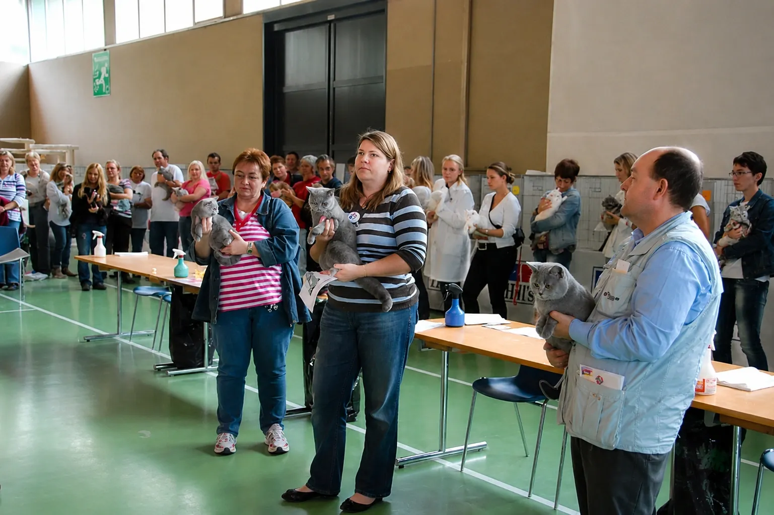 Britisch Kurzhaar Schweiz – Sondershow 2010