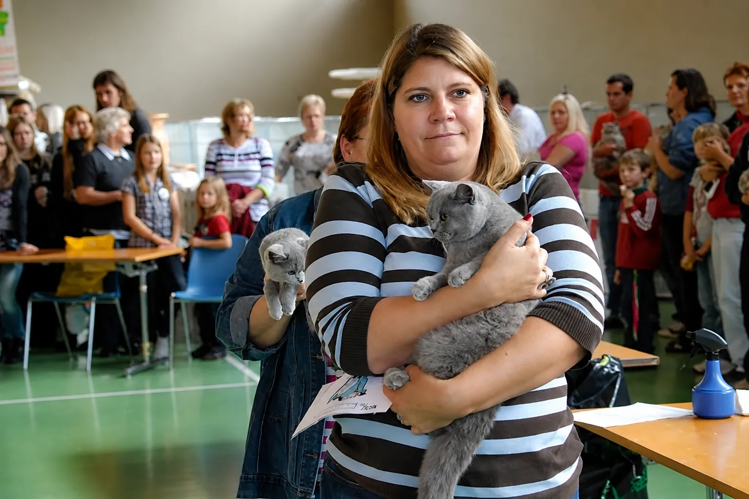 Britisch Kurzhaar Schweiz – Sondershow 2010
