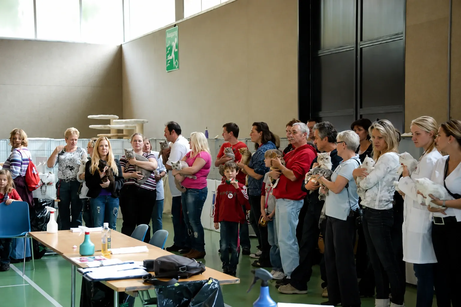 Britisch Kurzhaar Schweiz – Sondershow 2010