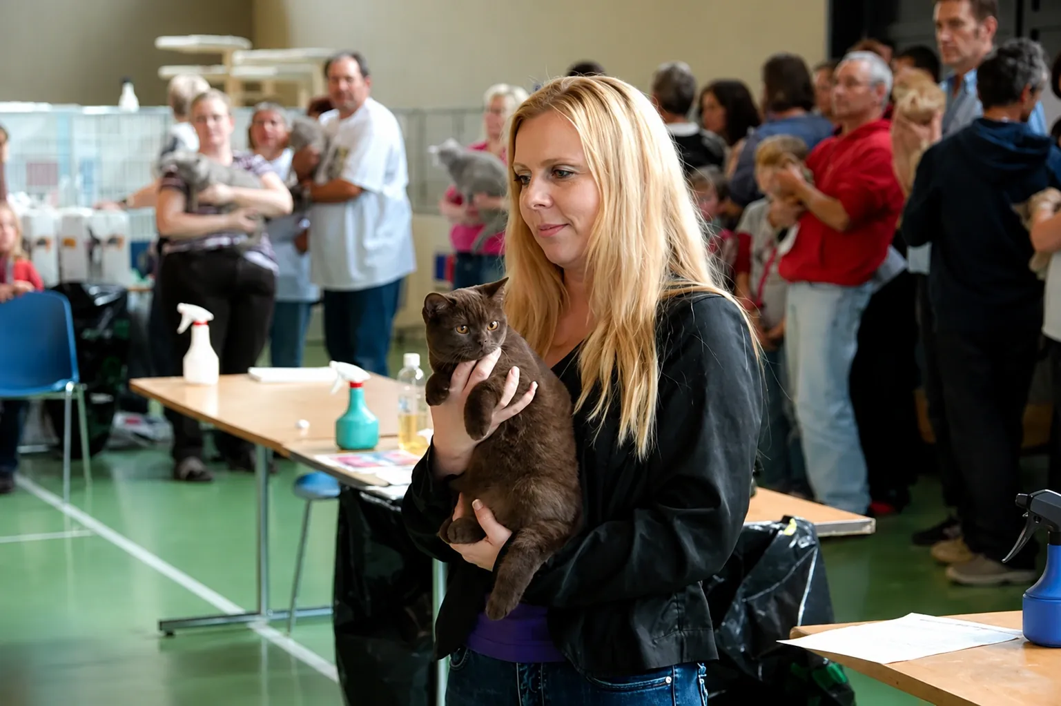 Britisch Kurzhaar Schweiz – Sondershow 2010