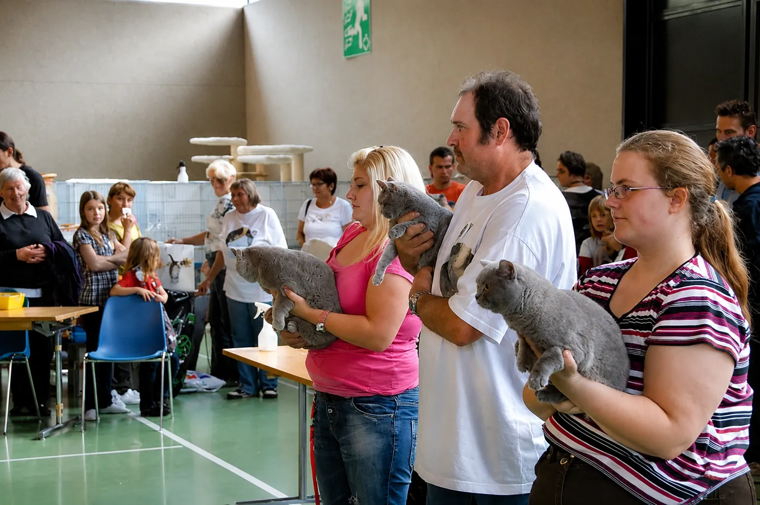Britisch Kurzhaar Schweiz – Sondershow 2010