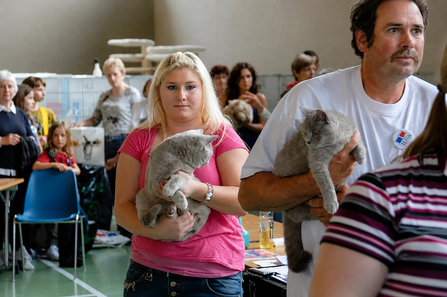 Britisch Kurzhaar Schweiz – Sondershow 2010