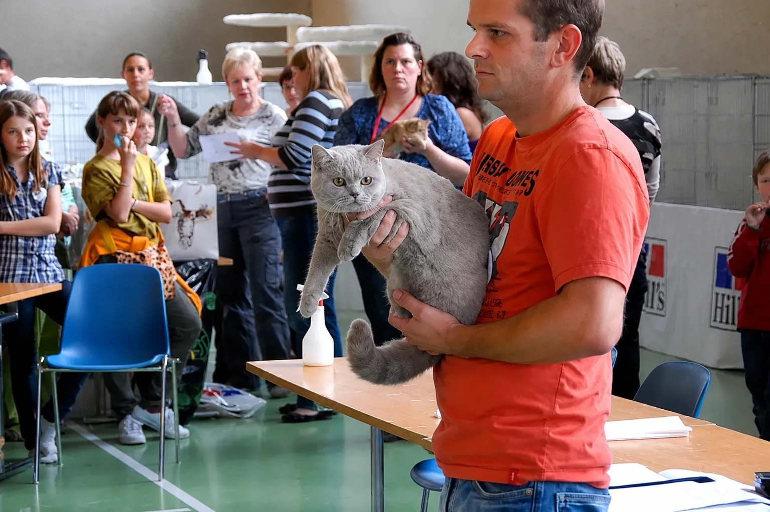 Britisch Kurzhaar Schweiz – Sondershow 2010